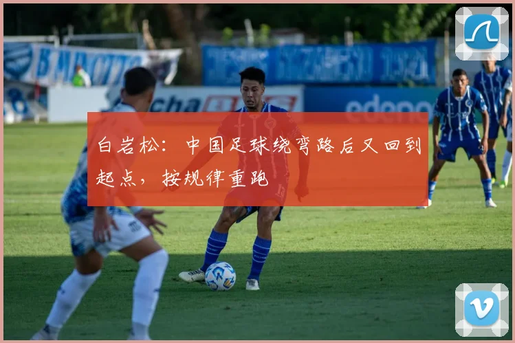 白岩松：中国足球绕弯路后又回到起点，按规律重跑